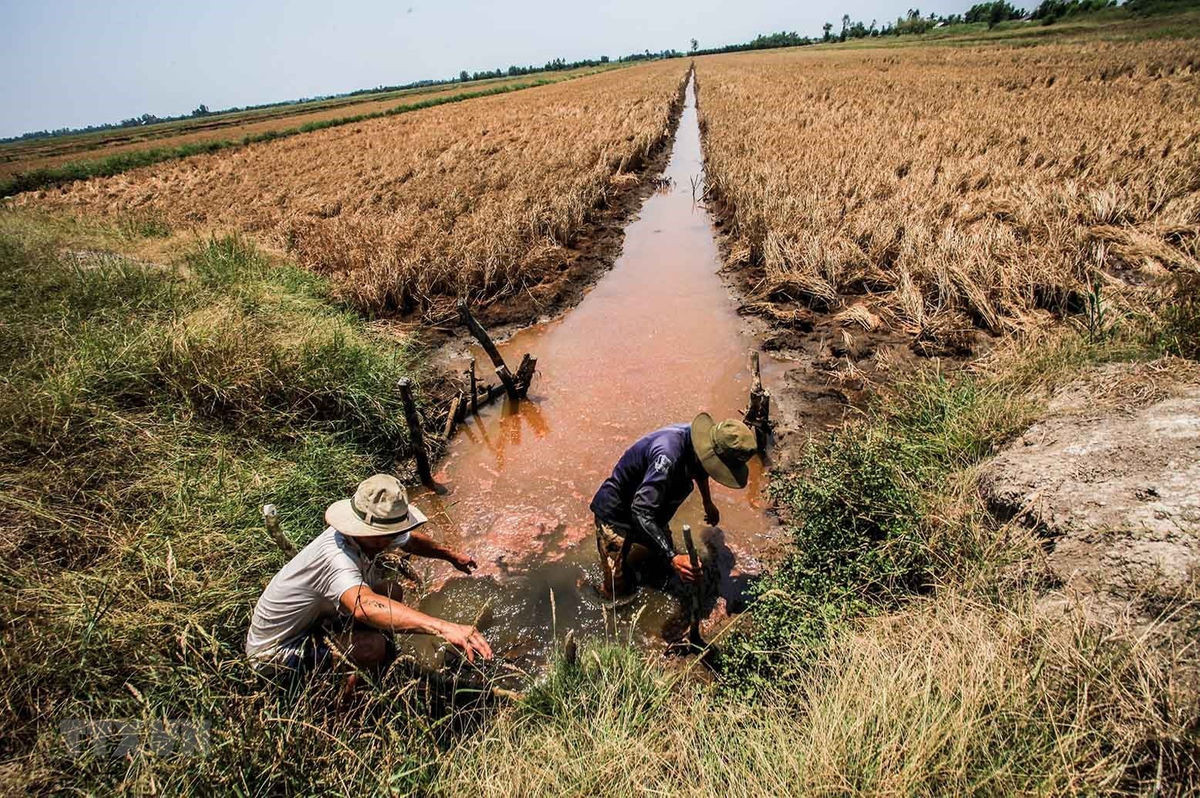 TIN DỰ BÁO XÂM NHẬP MẶN TRÊN KHU VỰC NAM BỘ